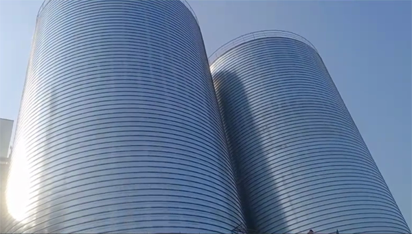 长宁2座混凝土高架卷板仓